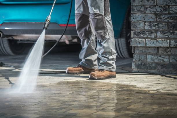 Best Paint Preparation  in Weyauwega, WI