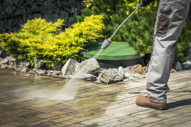 Best Boat and Dock Cleaning  in Weyauwega, WI